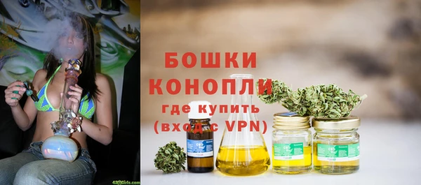 твердый Осташков