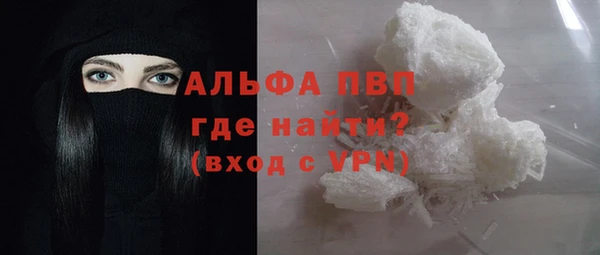 твердый Осташков