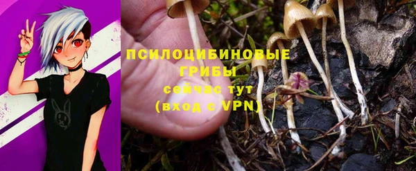 mdpv Осинники