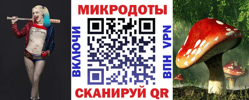 как найти наркотики  Александровск-Сахалинский  Галлюциногенные грибы GOLDEN TEACHER 